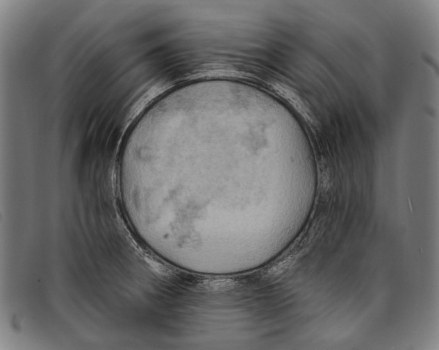 X0000097831282200804041413