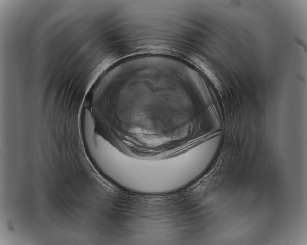 X0000097831283200804041413