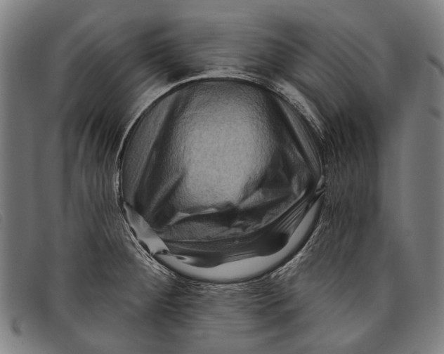 X0000097831284200804041413