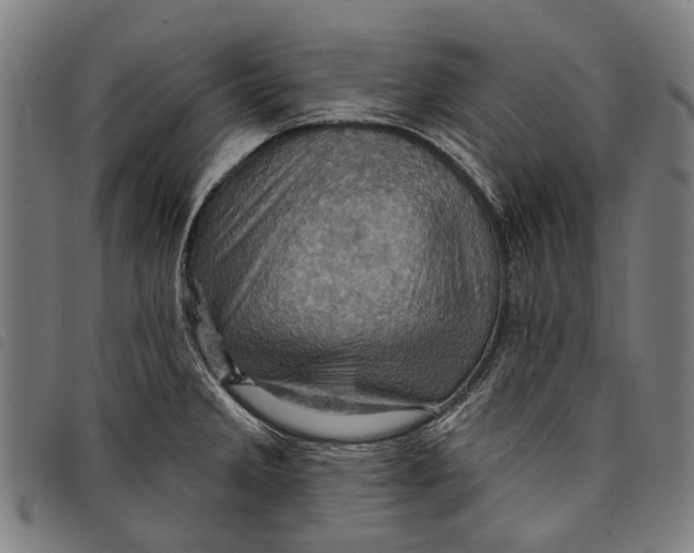 X0000097831285200804041413