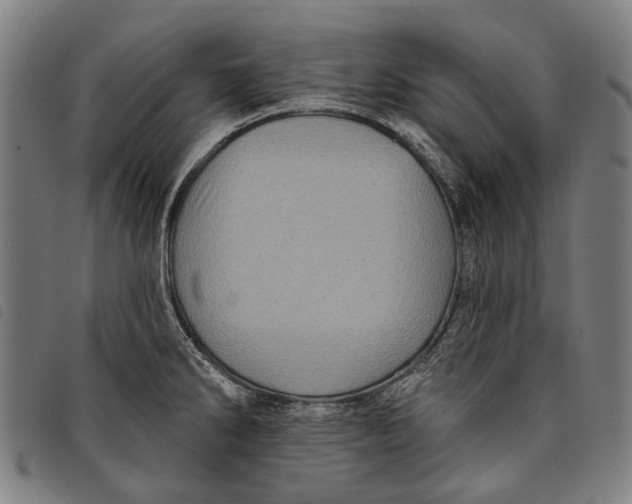 X0000097831286200804041413