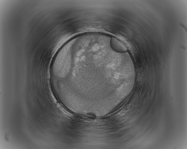 X0000097831287200804041413