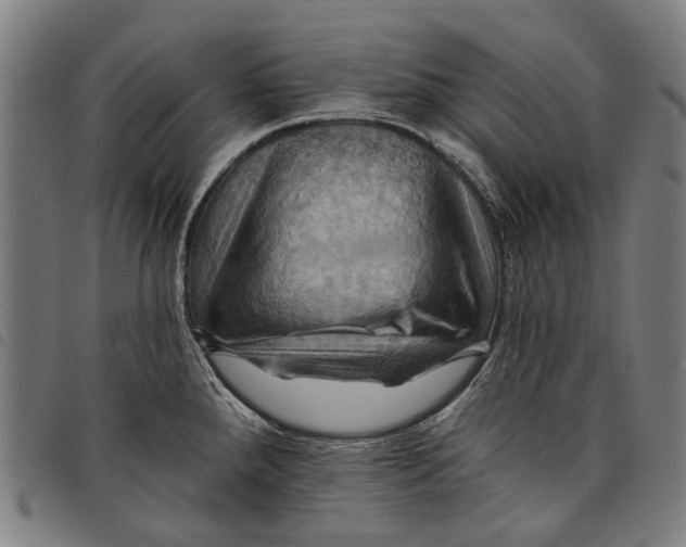 X0000097831288200804041413