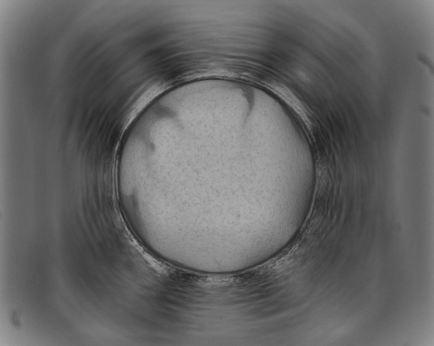 X0000097831290200804041413