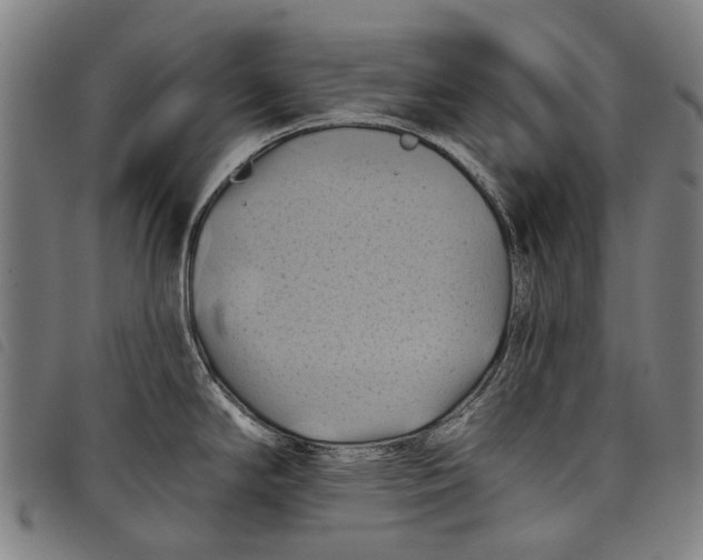 X0000097831294200804041413