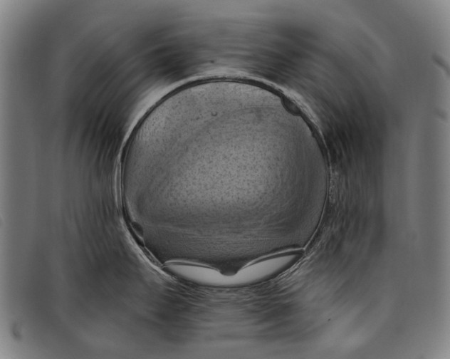 X0000097831295200804041413