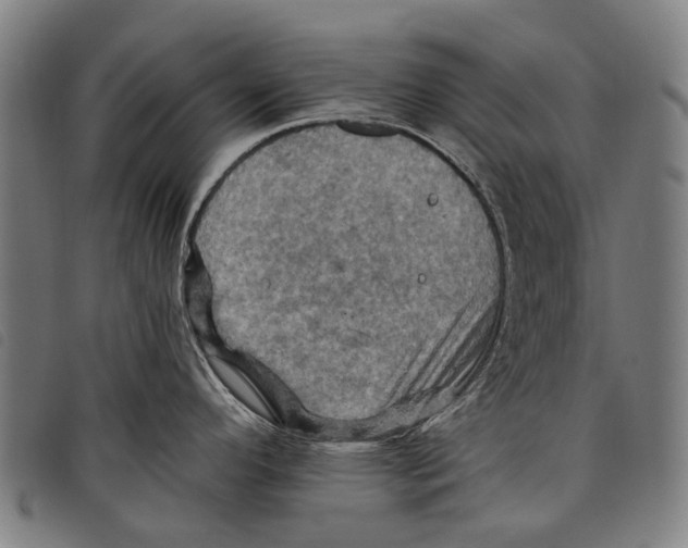 X0000097831296200804041413