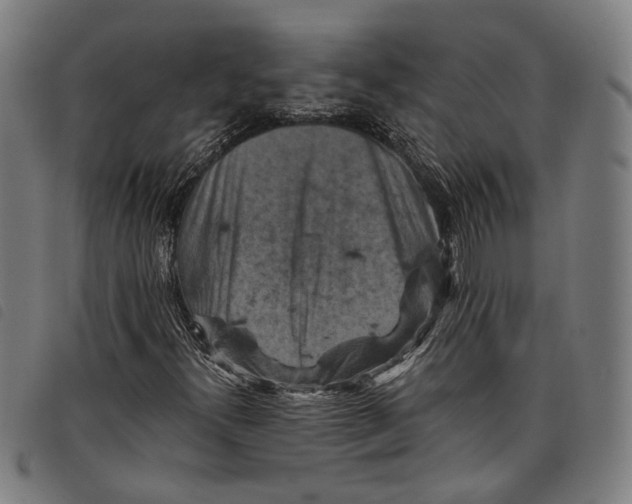 X0000097831300200804041412