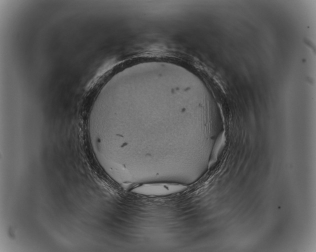 X0000097831304200804041412