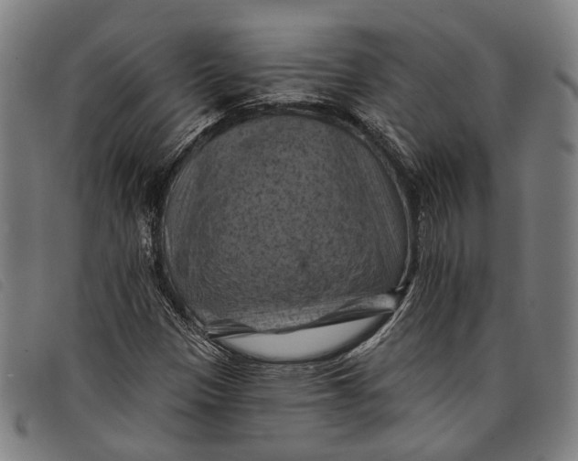 X0000097831305200804041412