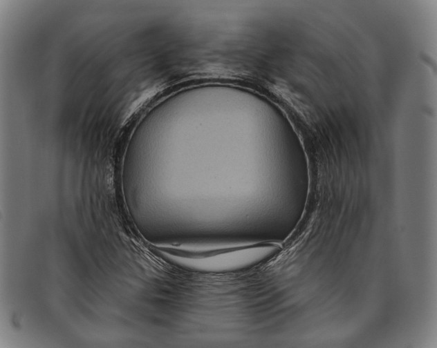 X0000097831307200804041412