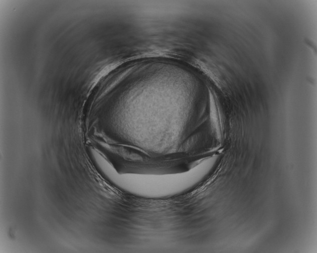 X0000097831308200804041412