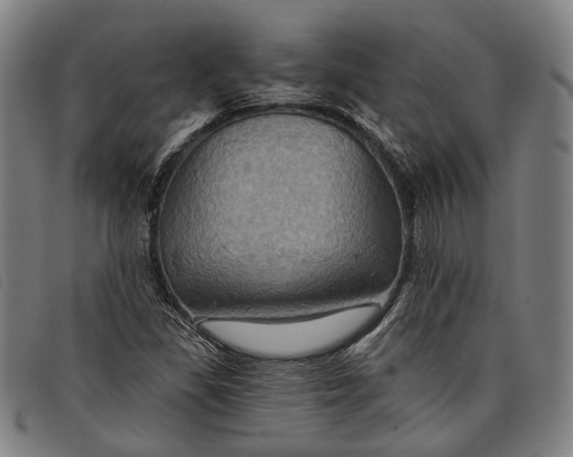 X0000097831309200804041412