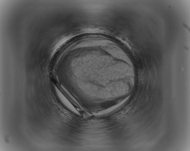 X0000097831311200804041412