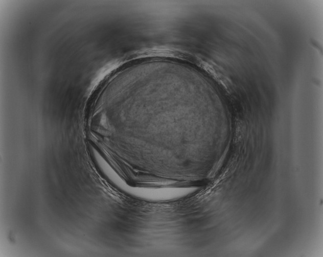 X0000097831312200804041412