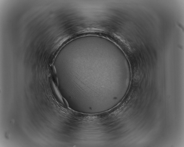 X0000097831313200804041412