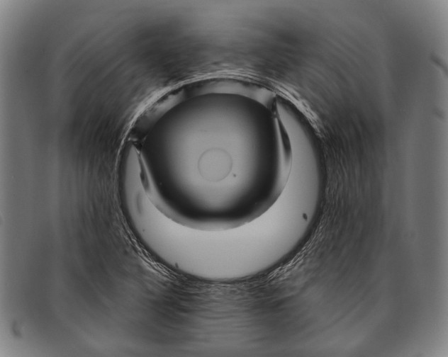 X0000097831316200804041412