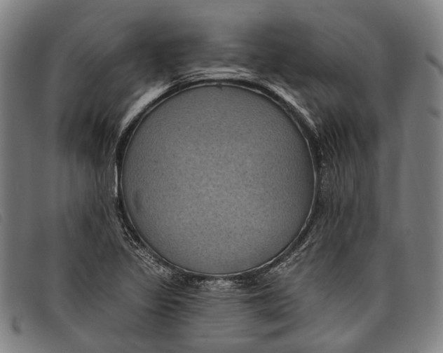 X0000097831317200804041413