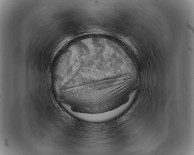 X0000097831318200804041413