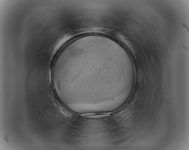 X0000097831320200804041413