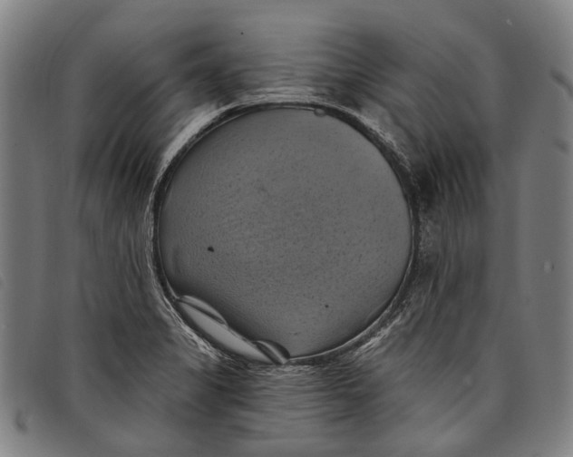 X0000097831325200804041413