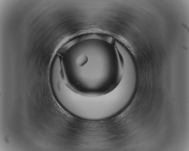 X0000097831326200804041413