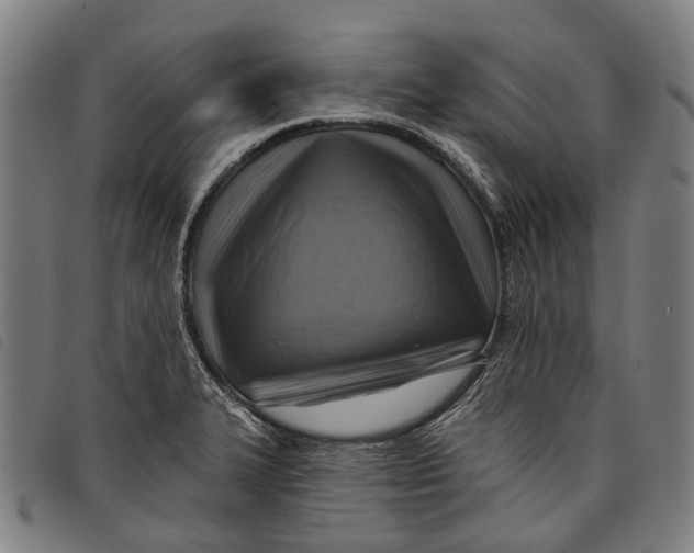 X0000097831327200804041413