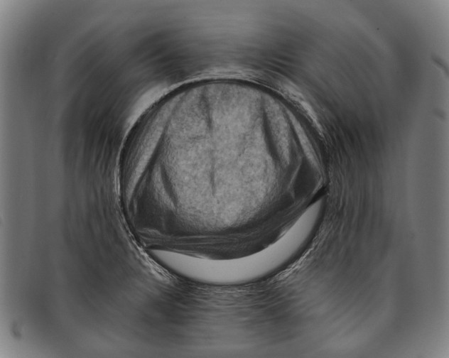 X0000097831328200804041413