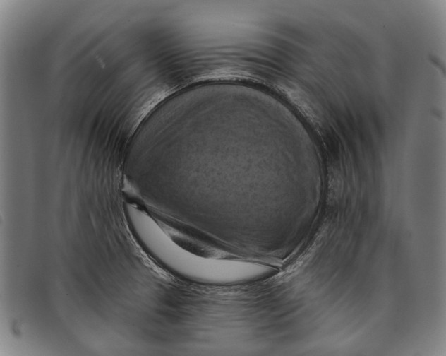 X0000097831329200804041413