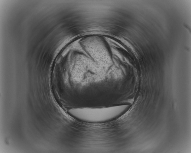 X0000097831333200804041413