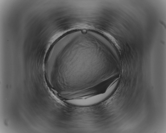 X0000097831335200804041413