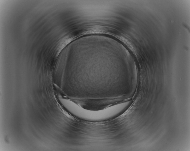 X0000097831337200804041413