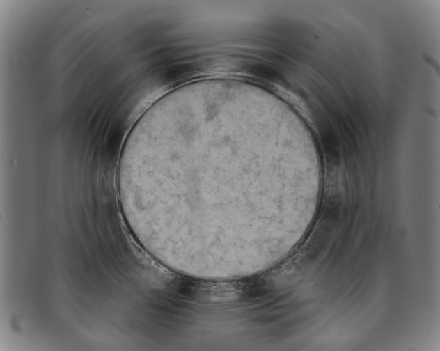 X0000097831338200804041413