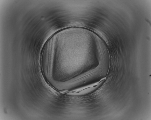 X0000097831339200804041413