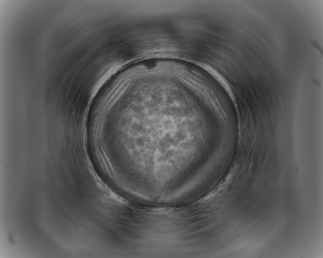 X0000097831341200804041413