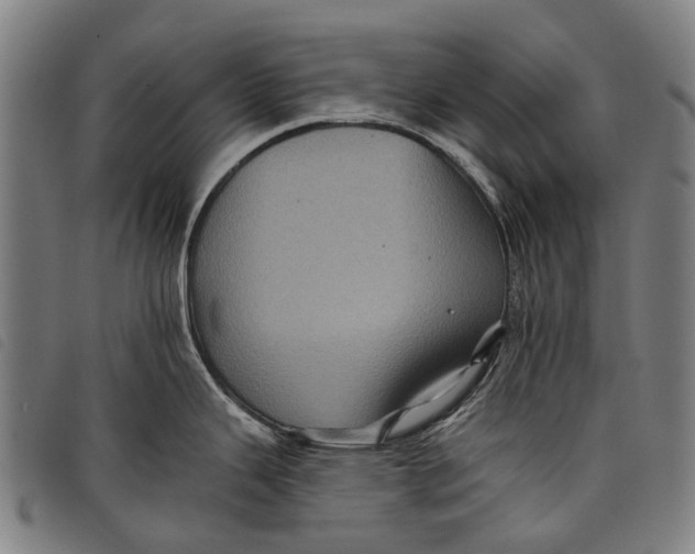 X0000097831343200804041413