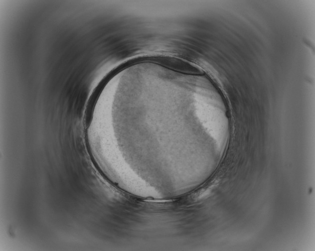 X0000097831344200804041413