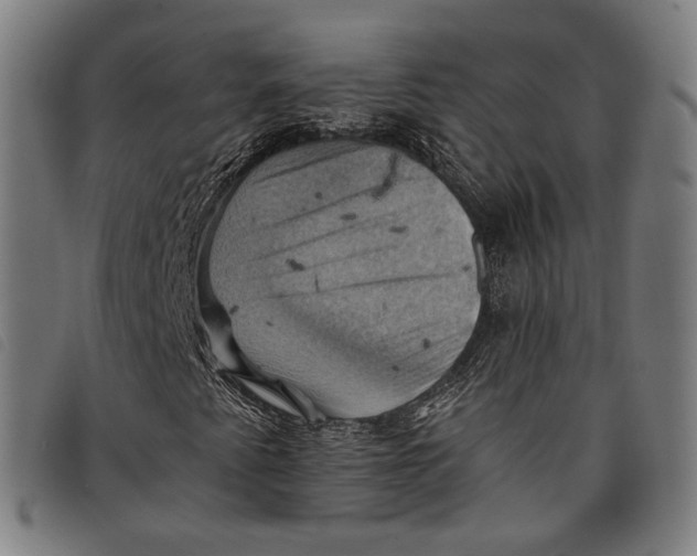 X0000097831345200804041412