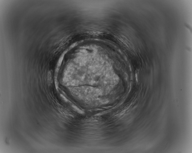 X0000097831347200804041412