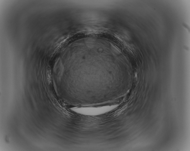 X0000097831348200804041412