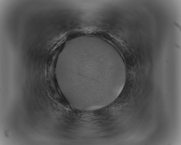 X0000097831349200804041412