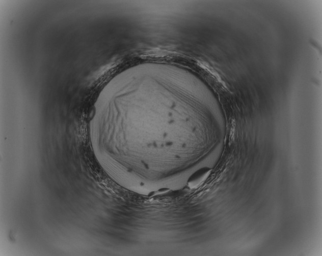 X0000097831350200804041412