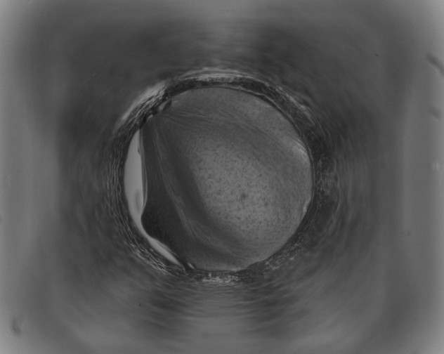 X0000097831351200804041412