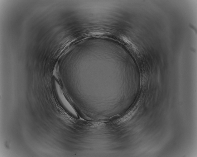 X0000097831353200804041412