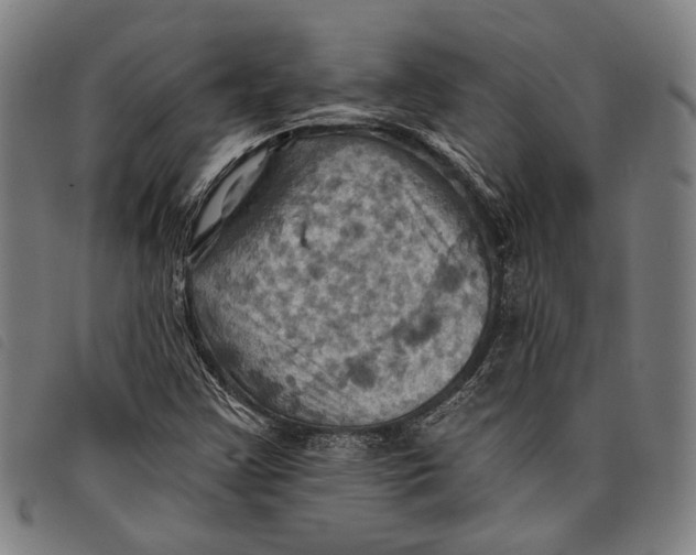 X0000097831355200804041412