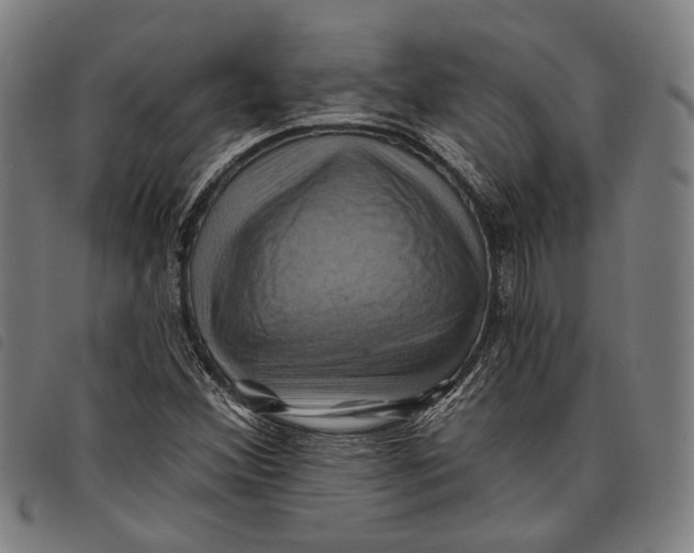 X0000097831356200804041412