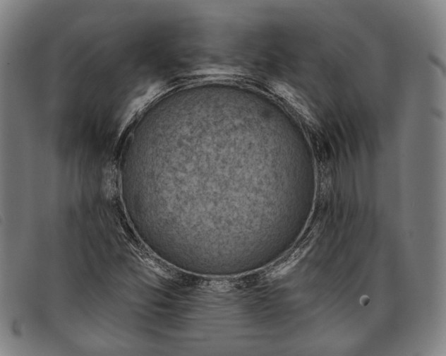 X0000097831357200804041412