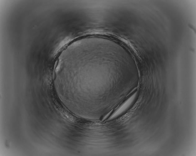 X0000097831359200804041412