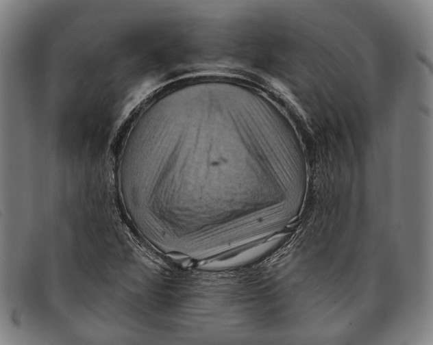 X0000097831360200804041412