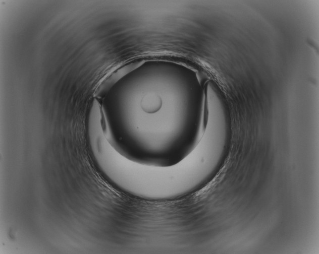 X0000097831361200804041412